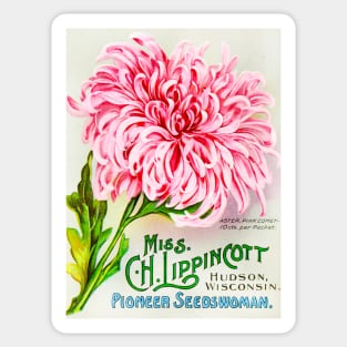 Miss C.H. Lippincott Seed Catalogue Sticker